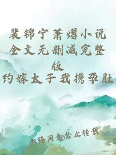 裴锦宁萧熠小说全文无删减完整版