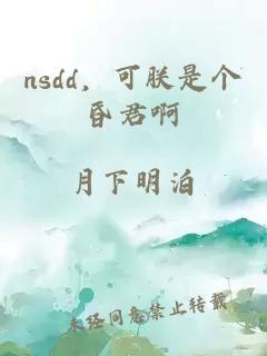 nsdd，可朕是个昏君啊