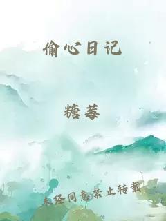 偷心日记
